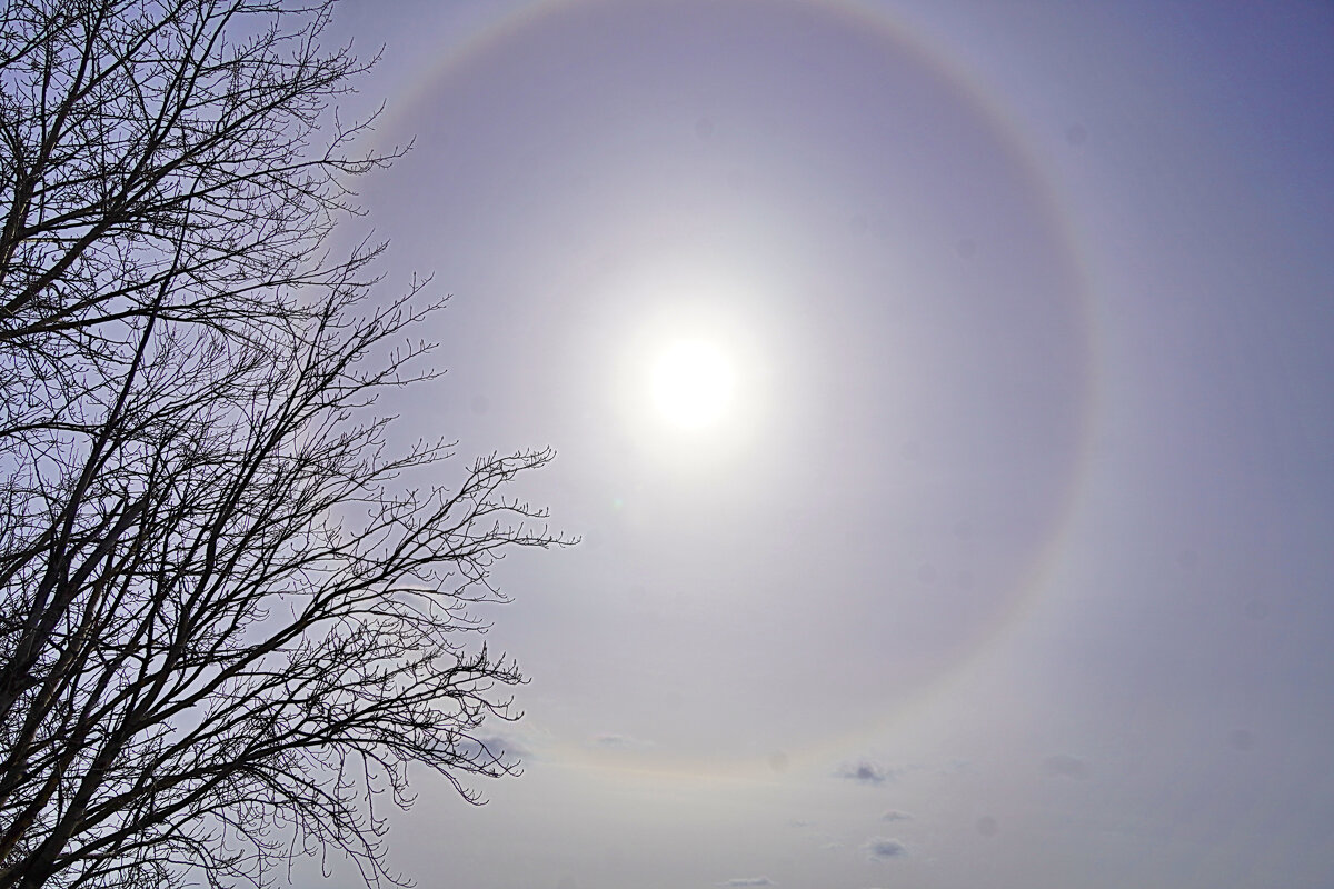 Гало - Галина Кан