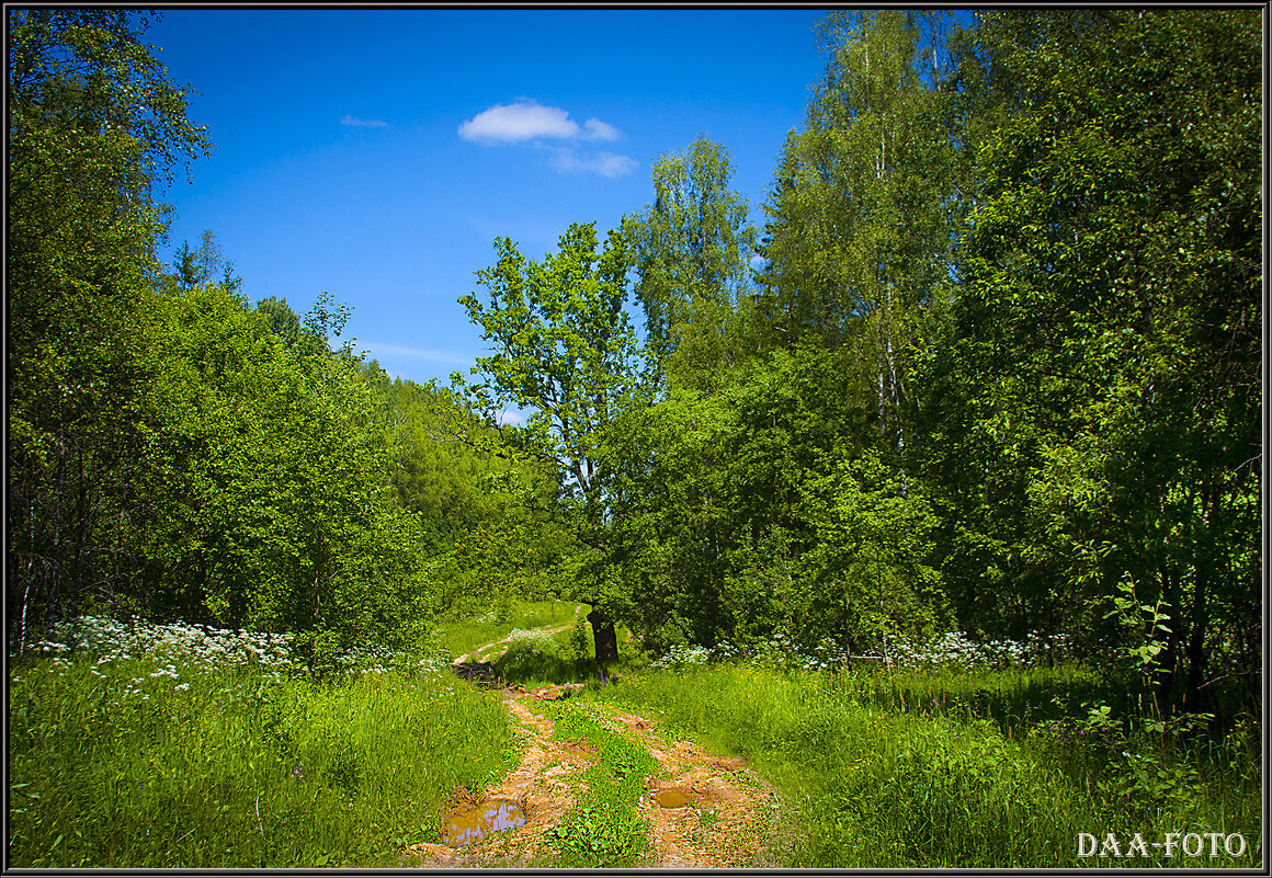 ИЮНЬСКИЙ ПОЛДЕНЬ. - Александр Дмитриев ИЮНЬСКИЙ ПОЛДЕНЬ. - Александр Дмитриев