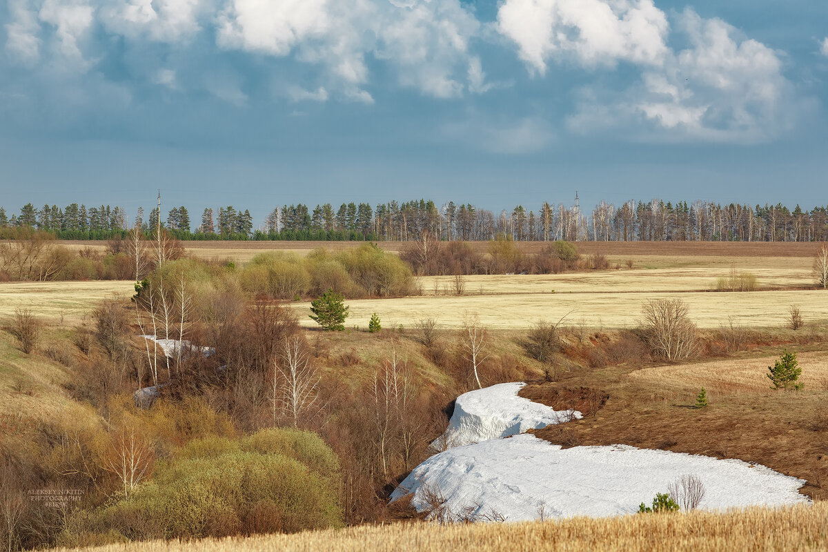 Весенний пломбир - NikitinAleks 