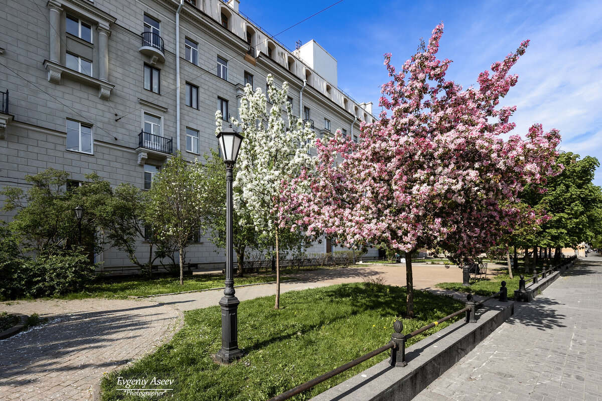 Весна в Петербурге - Евгений 
