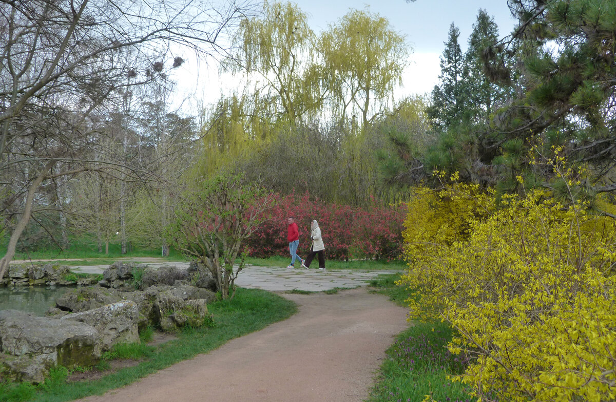 Весенний  пейзаж - Валентин Семчишин