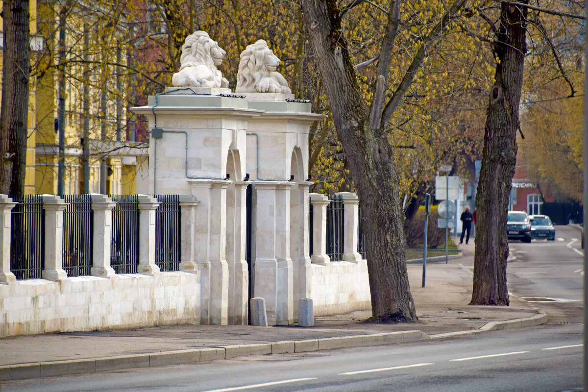 Львы 4-ой гор. больницы - Олег Львы 4-ой гор. больницы - Олег