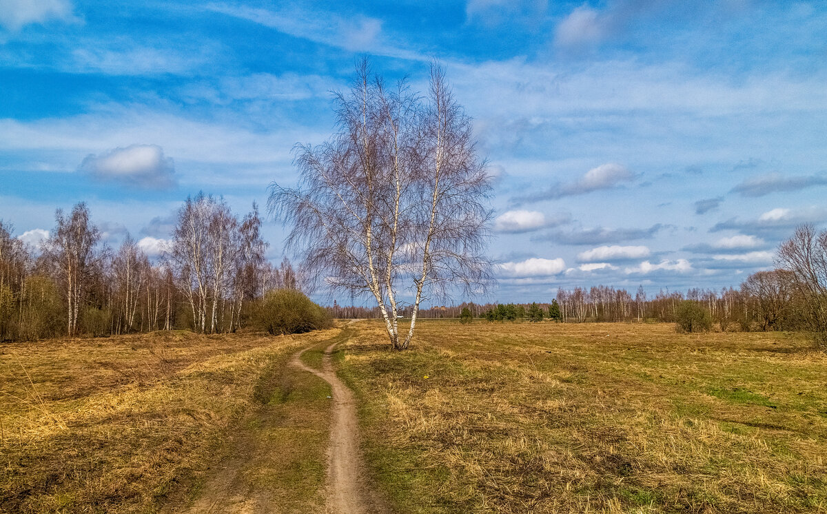 Весенняя прогулка 5. - Андрей Дворников Весенняя прогулка 5. - Андрей Дворников