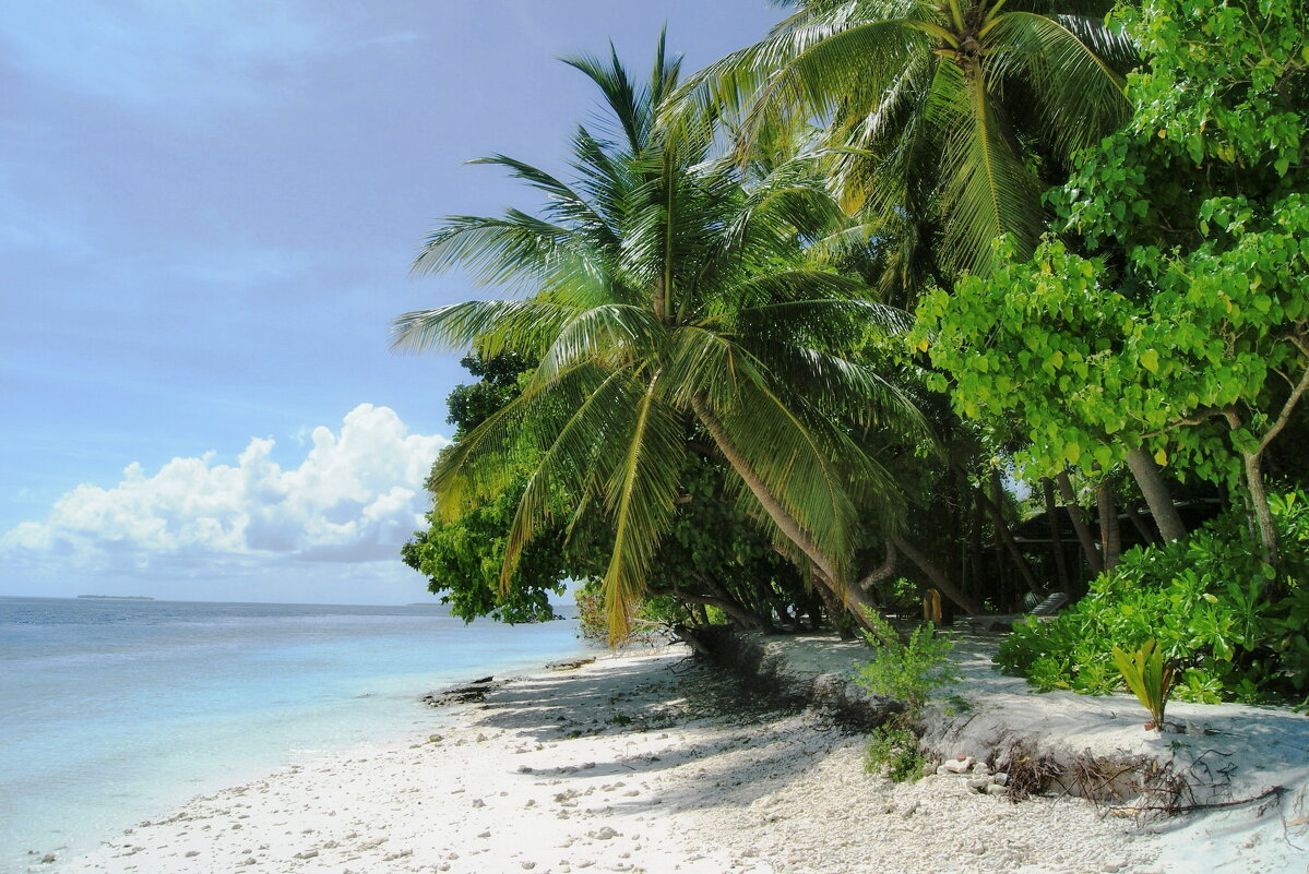 На далёких берегах - Андрей K. На далёких берегах - Андрей K.