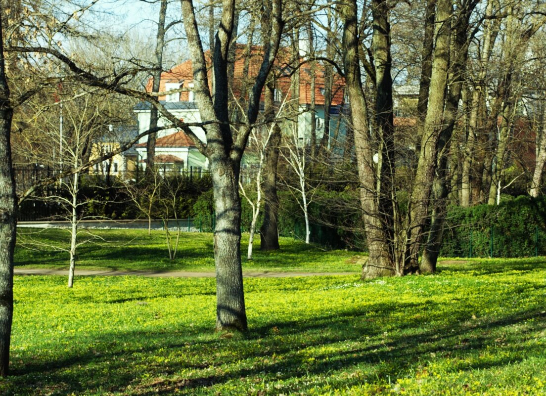 По дорожкам парка.. - Aida10 