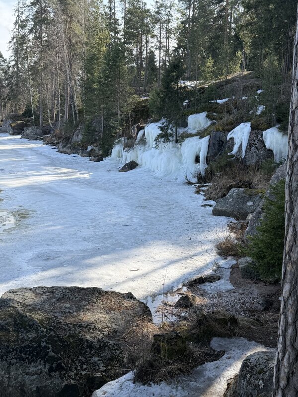 Скальный парк Монрепо в Выборге - Ирэн 