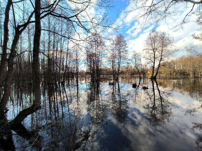 Половодье в Подмосковье - Елена 