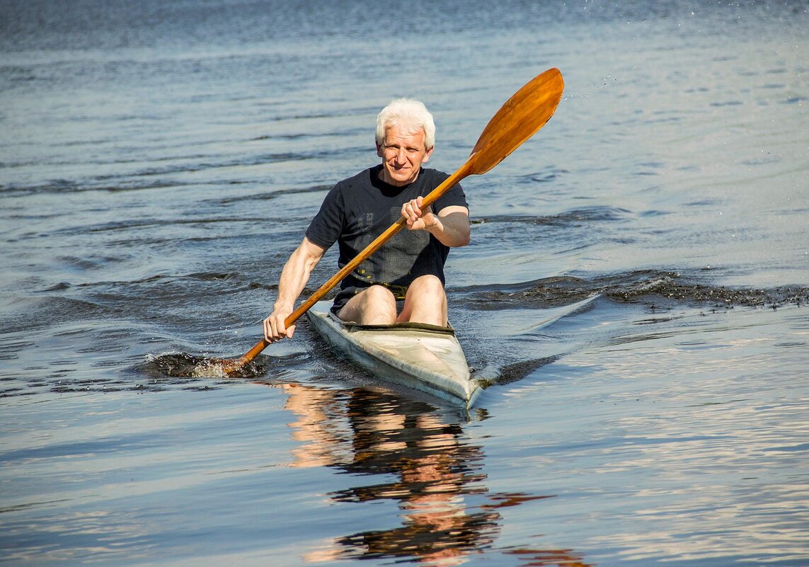 Ваш покорный слуга) - Дмитрий Балашов