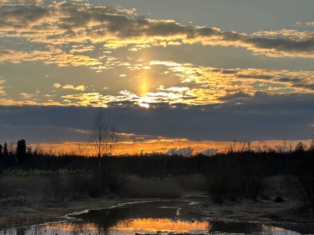 Огненный закат - Ольга Савельева 
