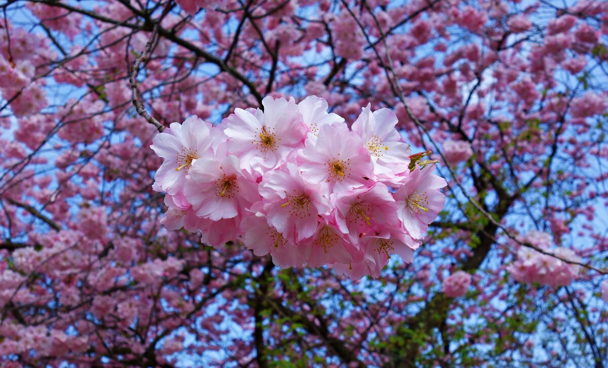 ... - Галина ... - Галина