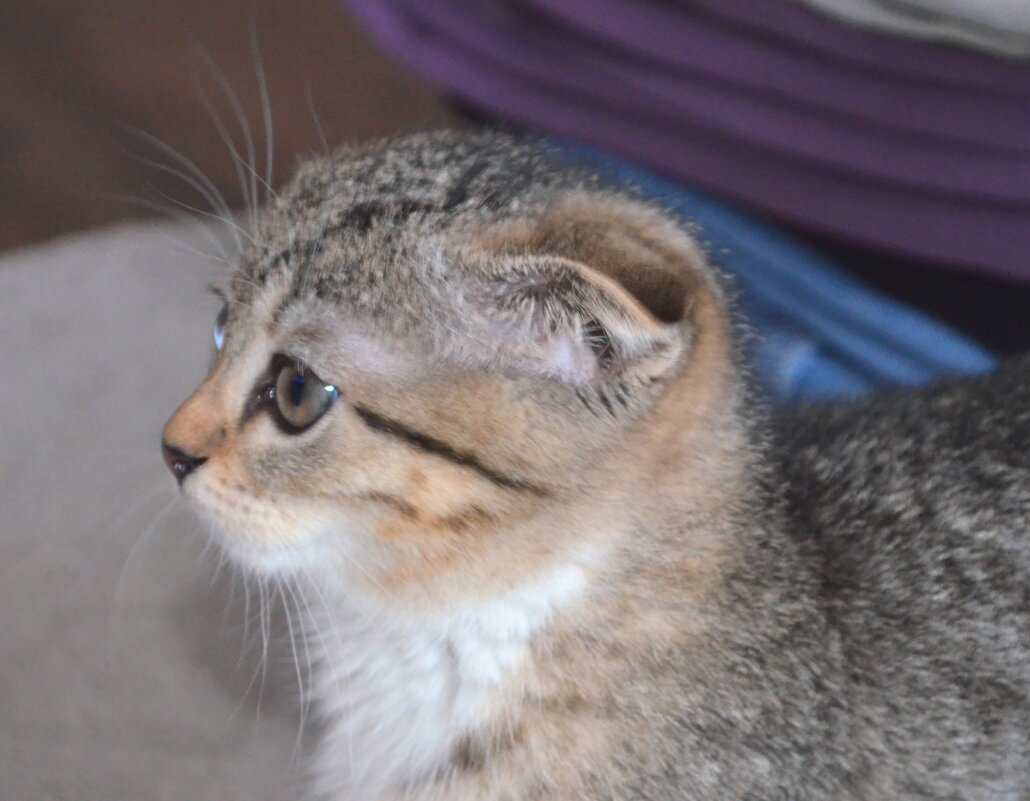 Квартира Ксюши - Savayr 