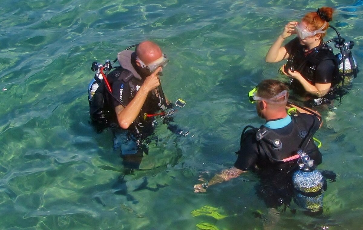 .. наставления учителя... - galalog galalog