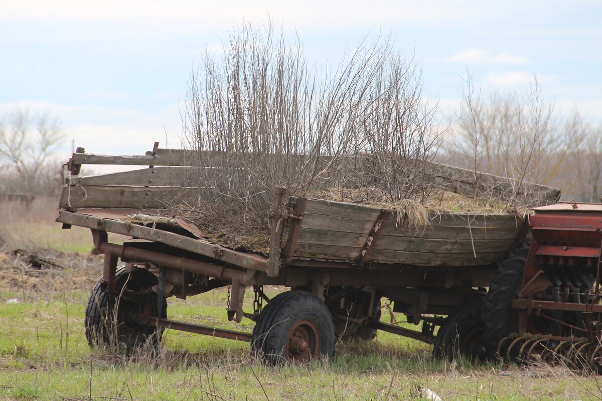 Провинциальные зарисовки - Елена Минина