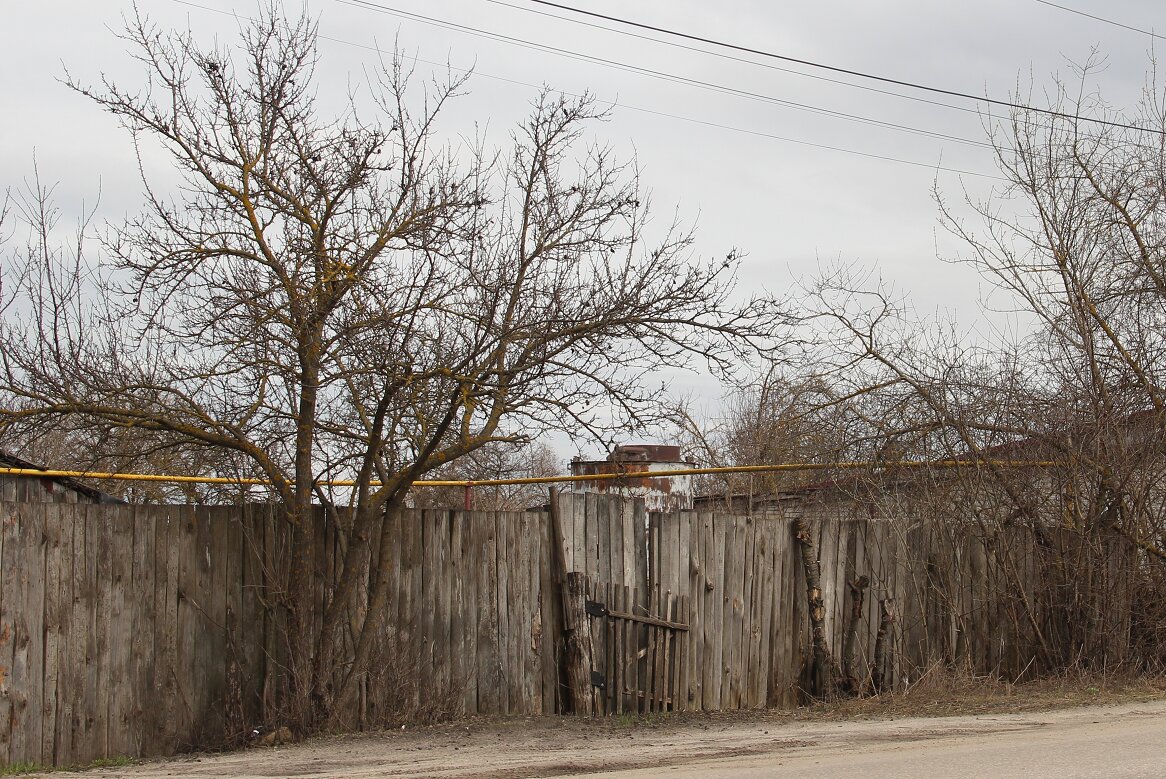 Провинциальные зарисовки - Елена Минина