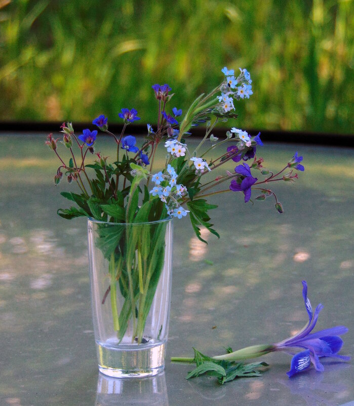 Полевые цветы. - nadyasilyuk Вознюк Полевые цветы. - nadyasilyuk Вознюк