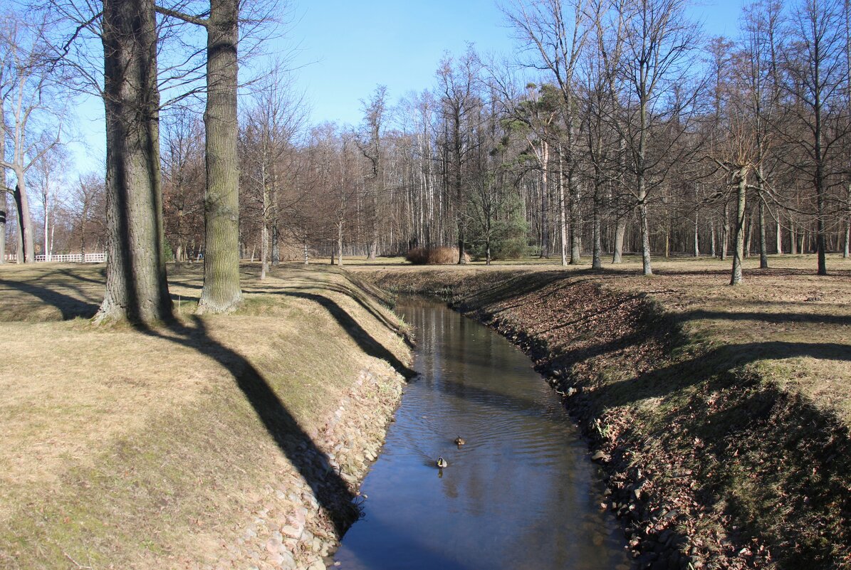 Парк Александрия - Наталья Герасимова Парк Александрия - Наталья Герасимова
