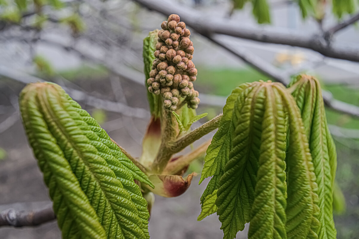 Приуныли. - Николай 