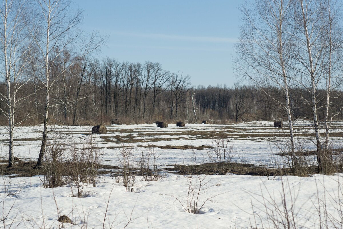 Весна - Дмитрий Ряховский