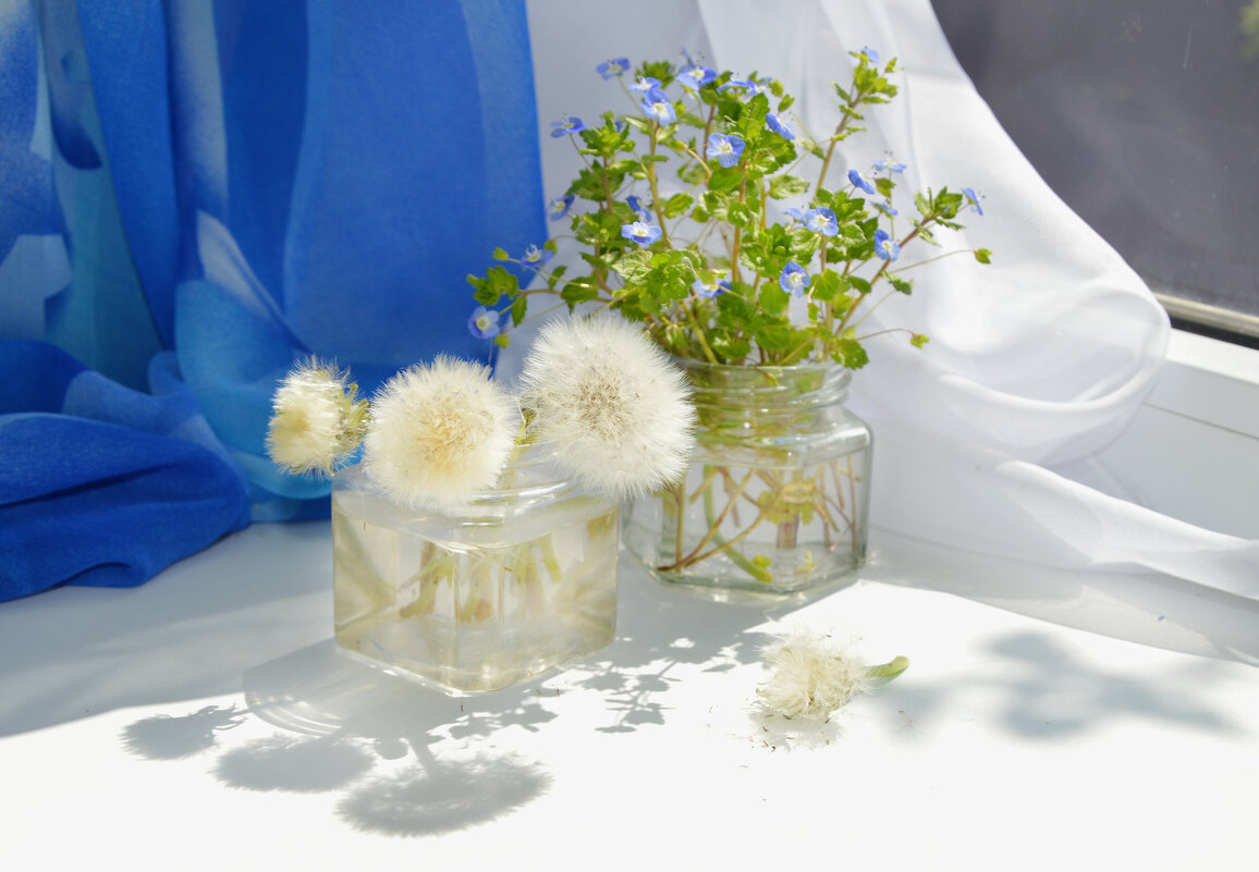 Весенний...тени... - Надежда Куркина 