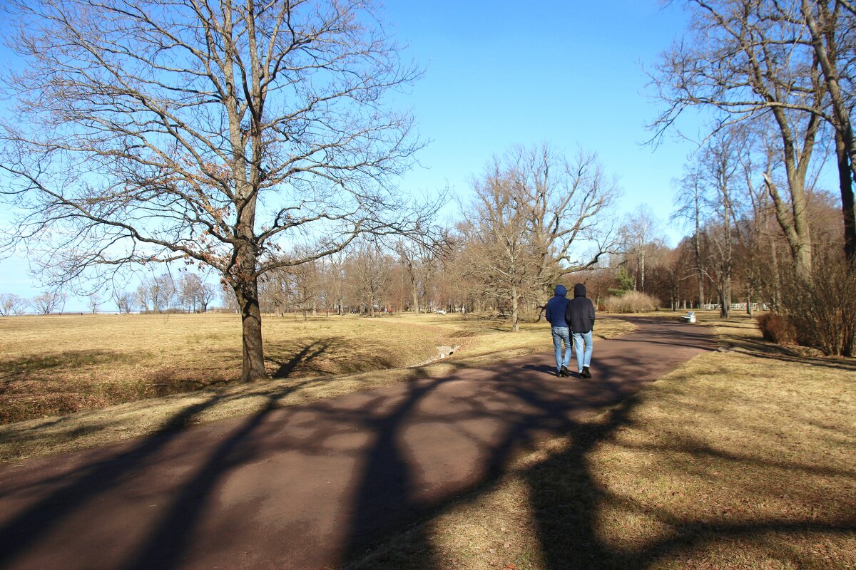 Парк Александрия - Наталья Герасимова Парк Александрия - Наталья Герасимова