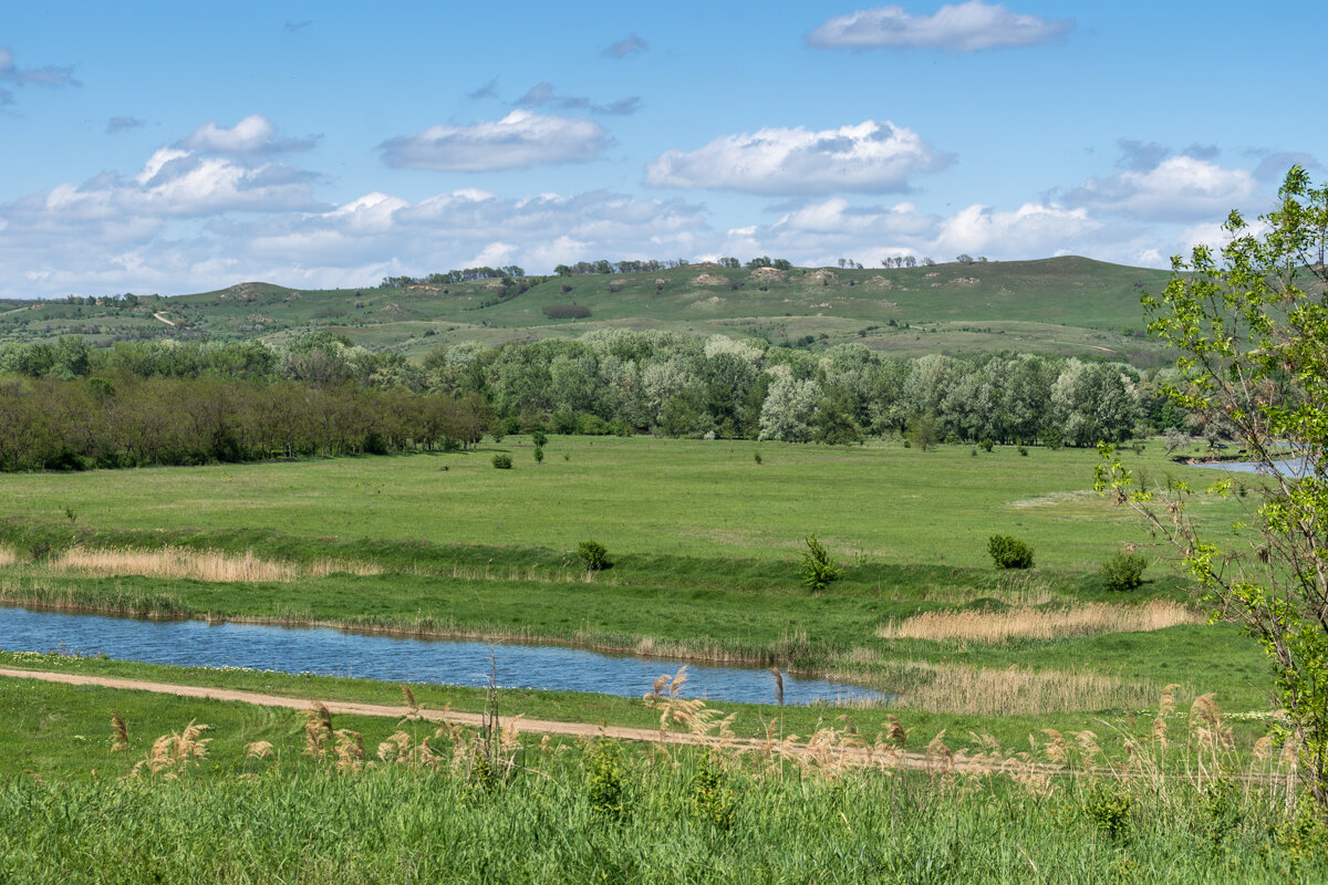 Окрестности, Успенский район - Игорь Сикорский Окрестности, Успенский район - Игорь Сикорский