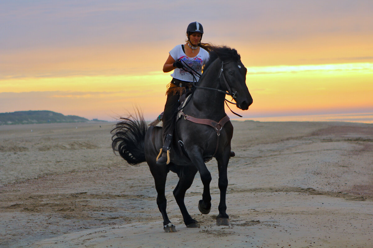 Потанцуй подомной. вороной - Valziwa Потанцуй подомной. вороной - Valziwa