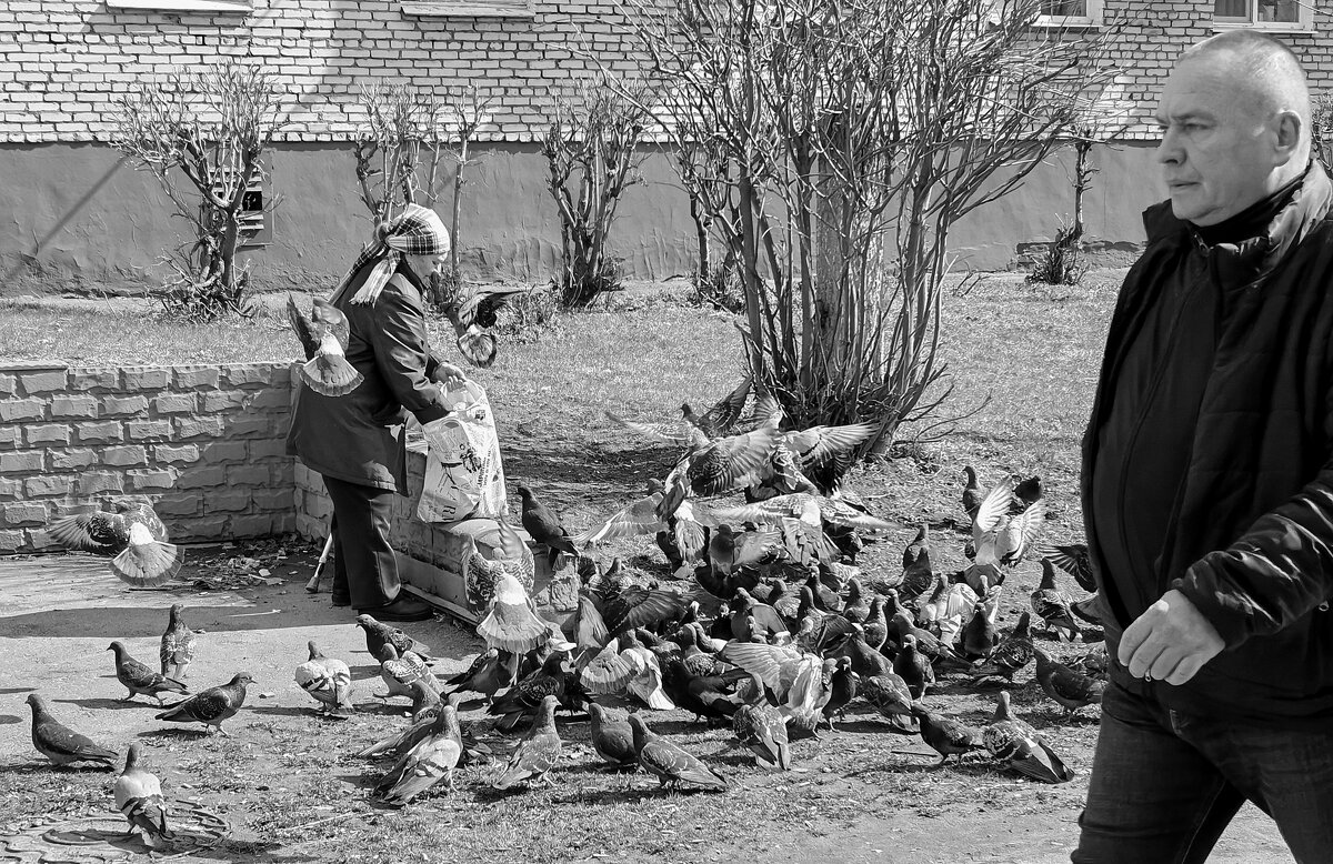 а она пришла и всех накормила - Любовь а она пришла и всех накормила - Любовь