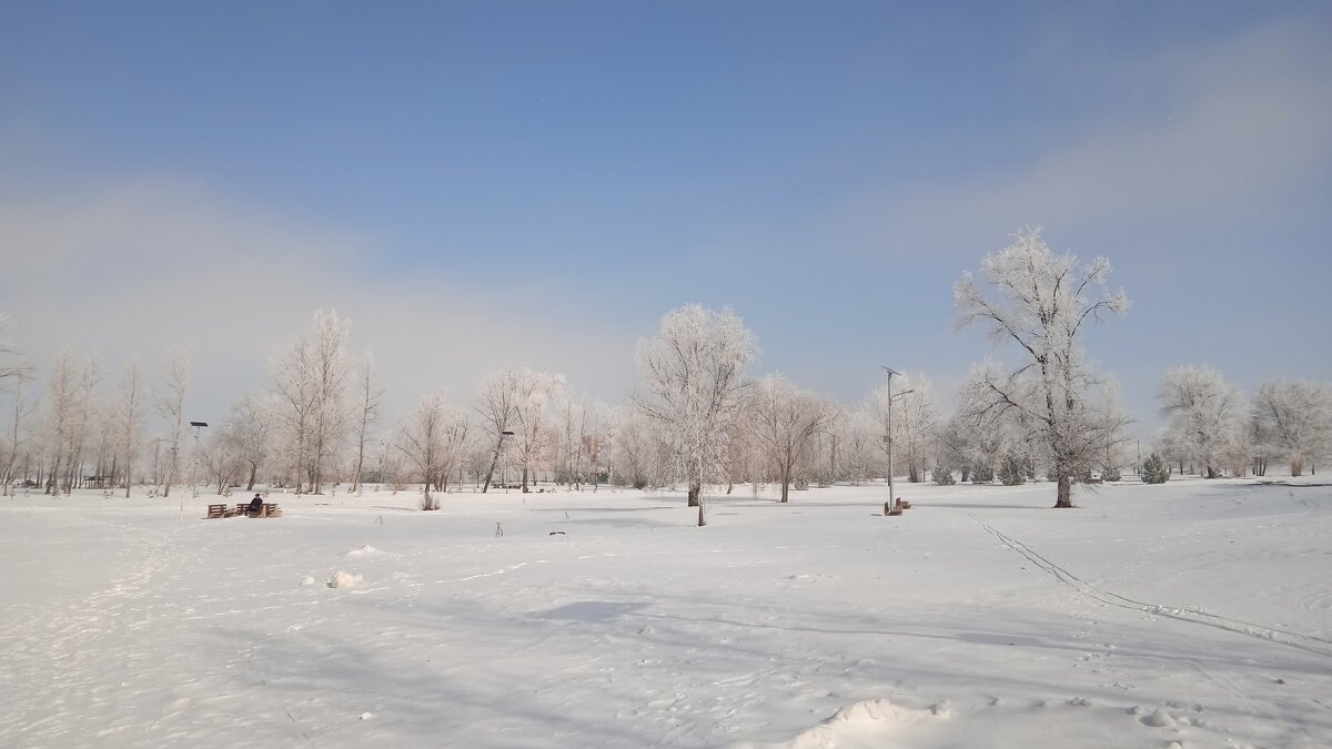 март - Елена Шаламова