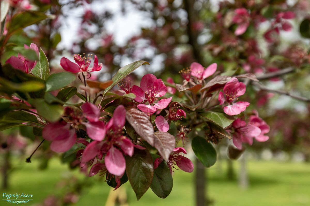 Лето начинается - Евгений 