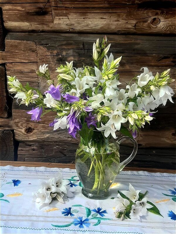 Цветы в кувшине! - Нина Андронова