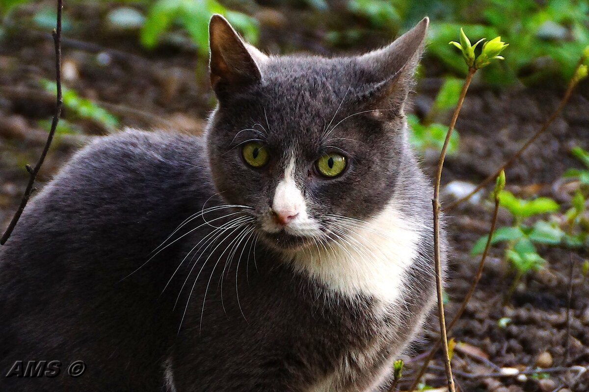 Эх! - kolyeretka Эх! - kolyeretka