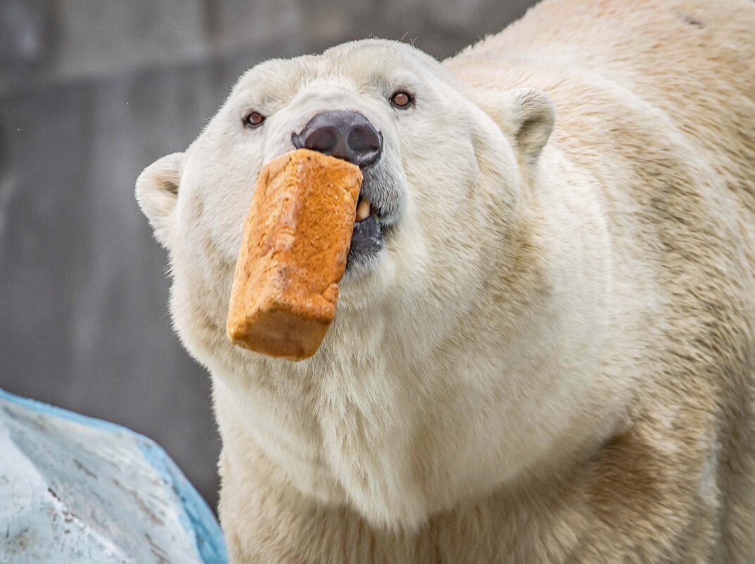 хлеб всему.... - Аркадий Лаптенко