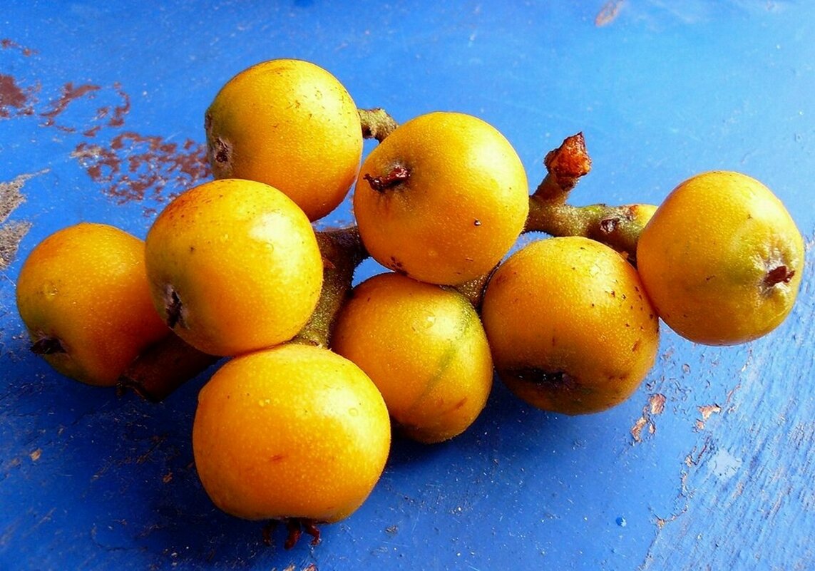 ...мушмула - Александр Герасенков