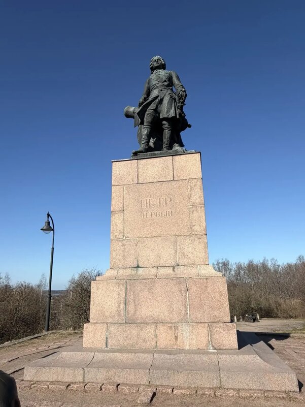 Памятник Петру I в Выбоге - Ирэн 