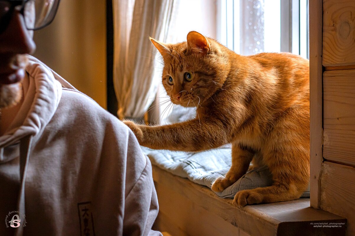 " - Мур, ты мой друг!" )) - Анастасия Белякова