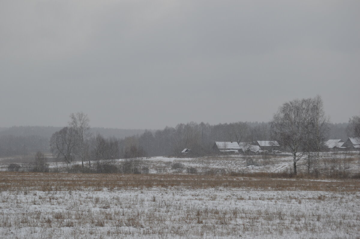 Зимняя опушка - Олег Подлесных