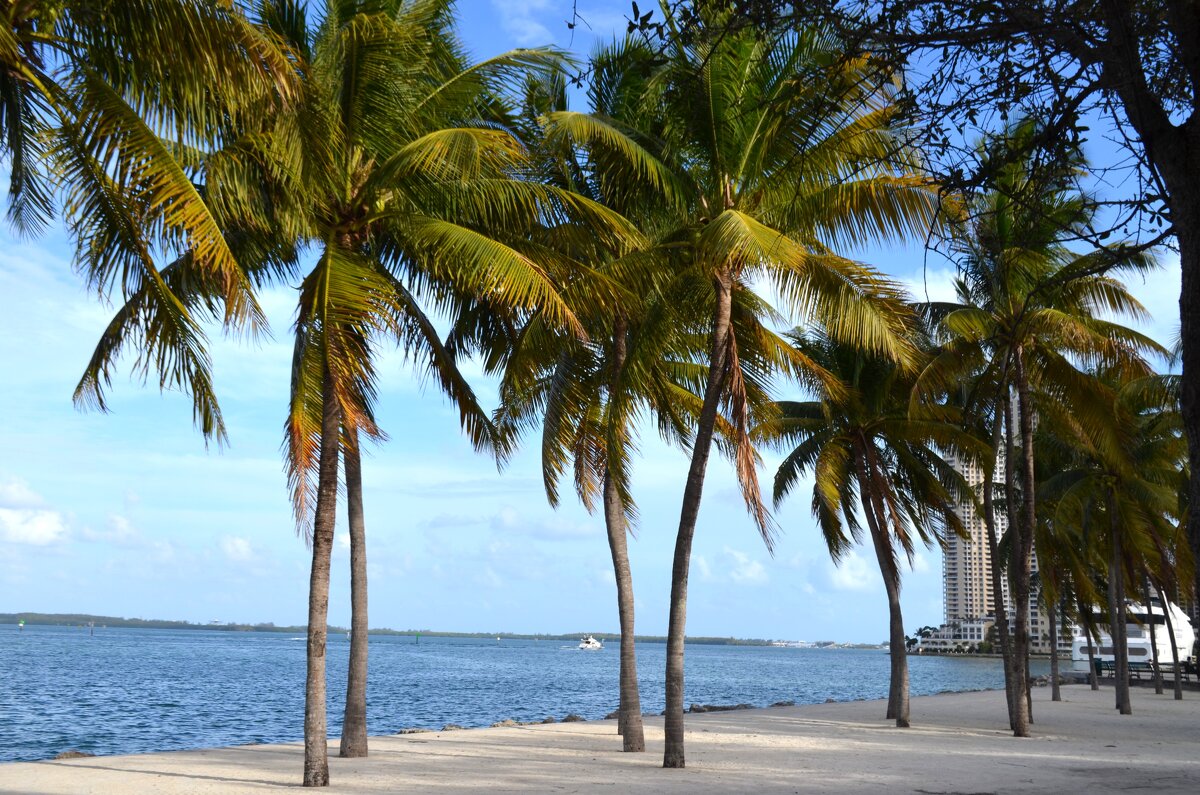 Океан - Таня Фиалка