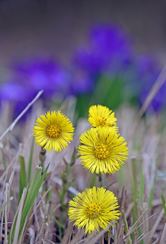 в ЦПКиО 16 апреля - Михаил Бибичков в ЦПКиО 16 апреля - Михаил Бибичков