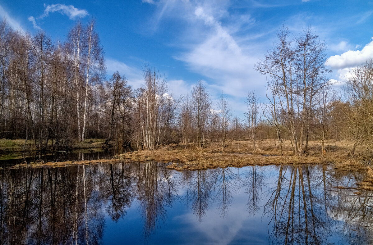 Весенняя прогулка 7 - Андрей Дворников