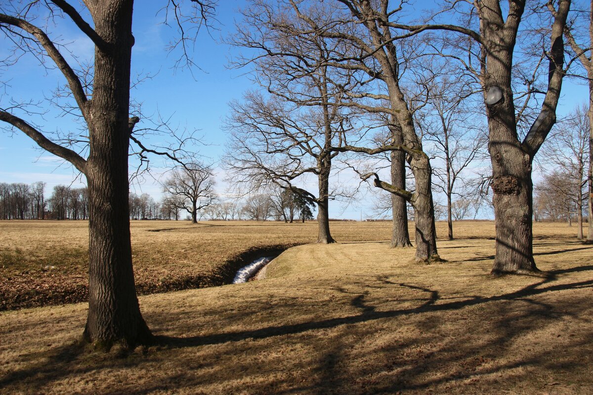 Парк Александрия - Наталья Герасимова