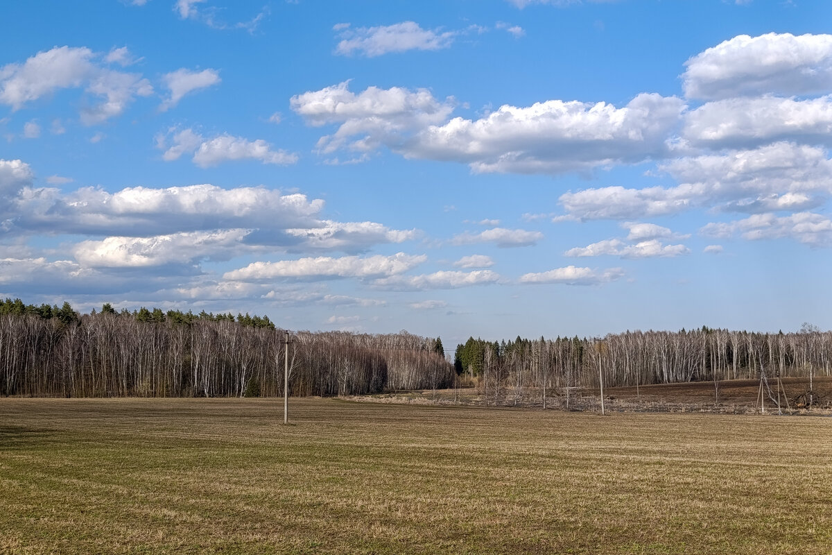 Весеннее небо. - Alexandr Gunin