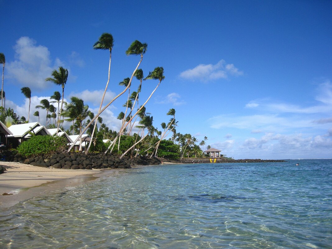 Кусочек самоанского острова Уполу. - unix (Илья Утропов)