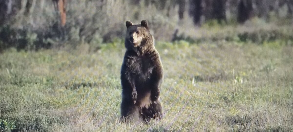 А кто это там ?!... - Валерий Кокорев