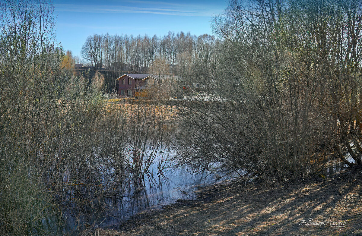 "Весенняя дымка пробуждения"© - Владимир Макаров