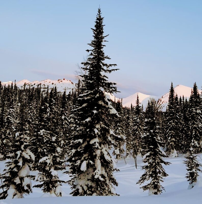 Алтай - Георгиевич 