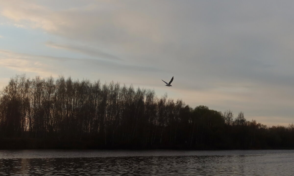 Фотограф щелкнул... - Дмитрий И_
