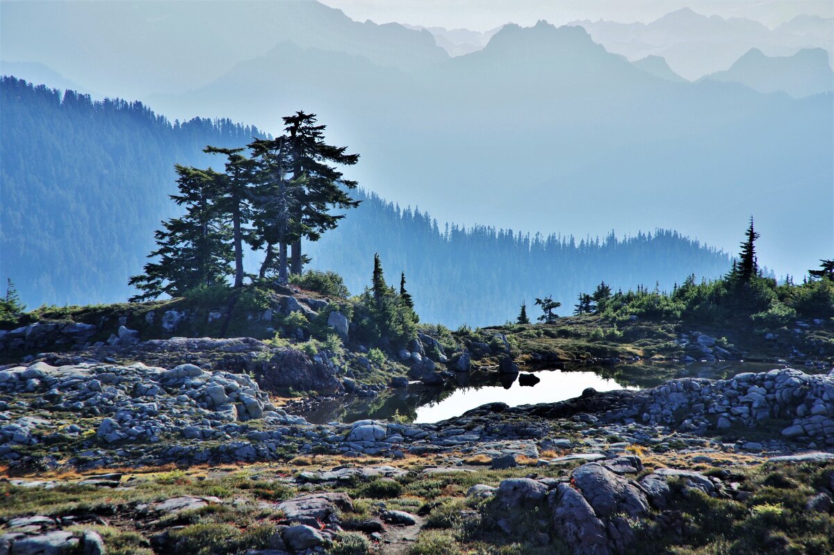 Утро в горах - Viktor Odysey