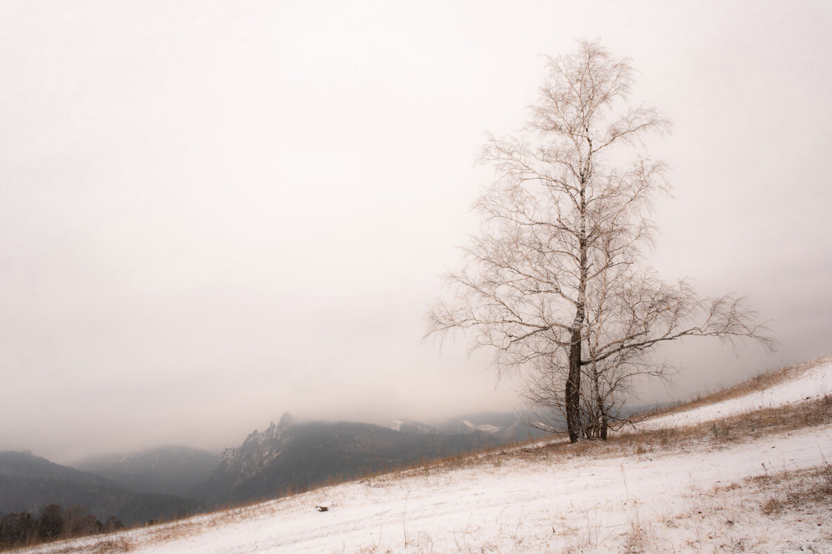 В плену осеннего тумана - Сергей Герасимов