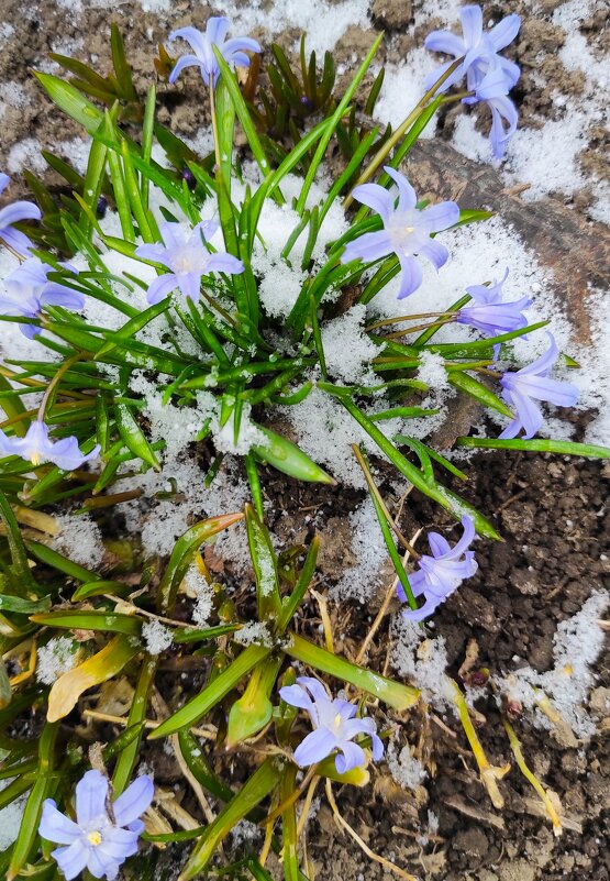 Холодный апрель - Татьяна Лютаева