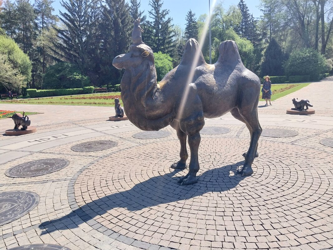 Almaty. - Murat Bukaev 